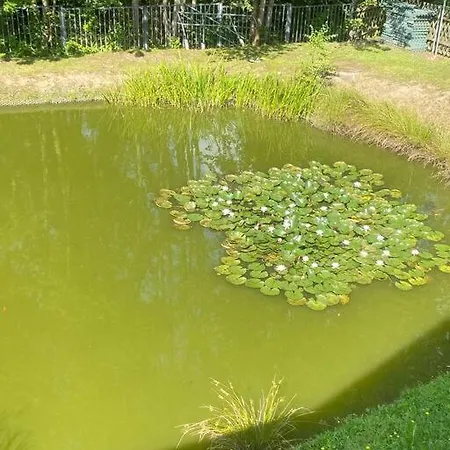 Freiberg, Allemagne شقة *